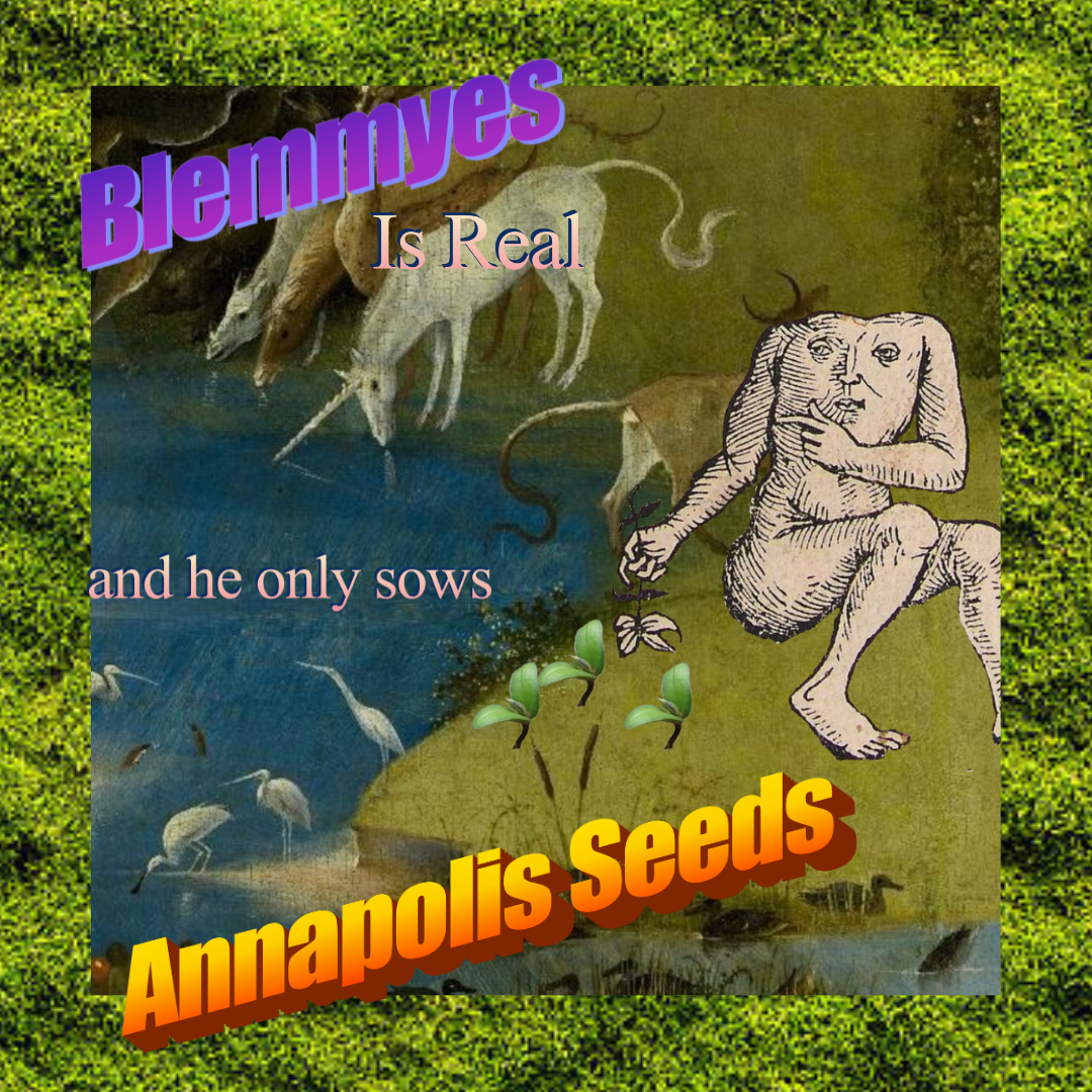 Seeds
